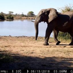 Homo sapiens – Planet earth’s “super predator”?