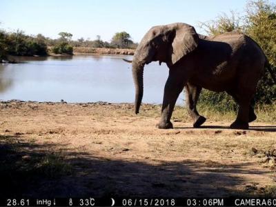 Homo sapiens – Planet earth’s “super predator”?